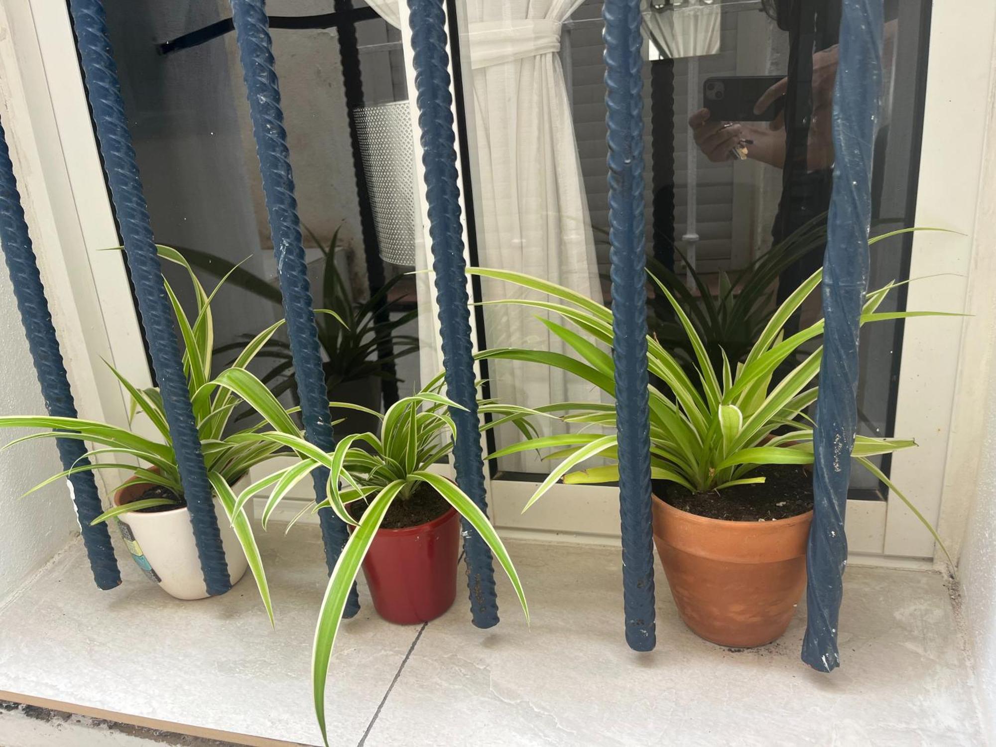 Casa Deniz Apartamento Málaga Quarto foto